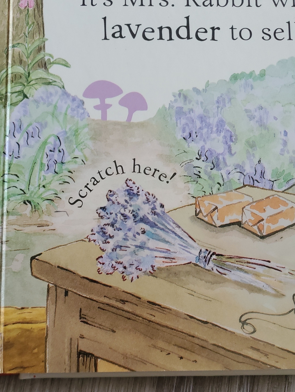 Peter Rabbit Board Book Bundle - Beatrix Potter - Picture 5 of 16